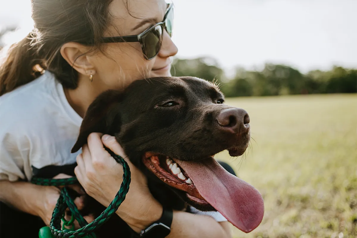 Ways to Pamper Your Dog with Comfort