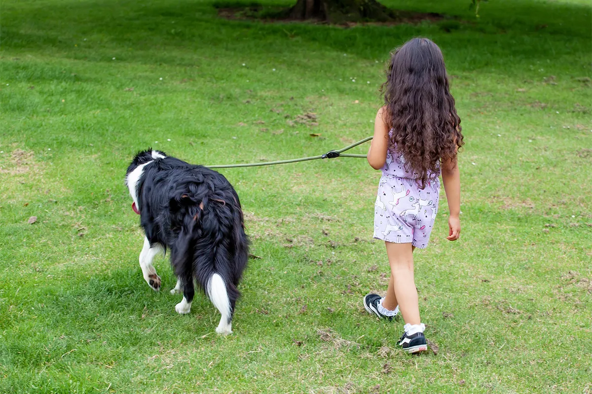 Take Your Puppy on a Home Tour